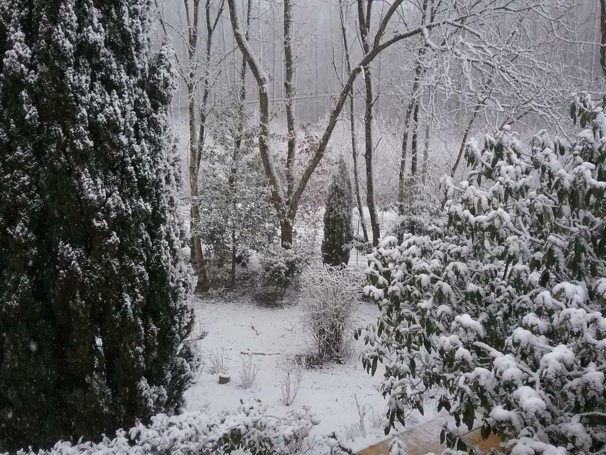 Au Jardin De Lisa Bed & Breakfast Cherreau Dış mekan fotoğraf